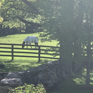 Fundraising Page: Matt Edmonds